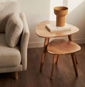 Side Table Set - 2 Pieces - SQ603